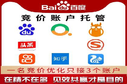 sem竞价托管代运营——广告优化的典范案例